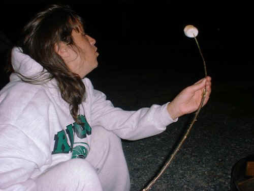 Ginger_Marshmellow.jpeg (31599 bytes)