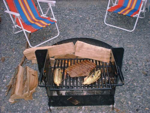 Grill.jpeg (64853 bytes)