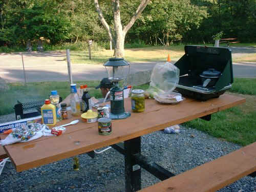Picnic_Table.jpeg (62683 bytes)