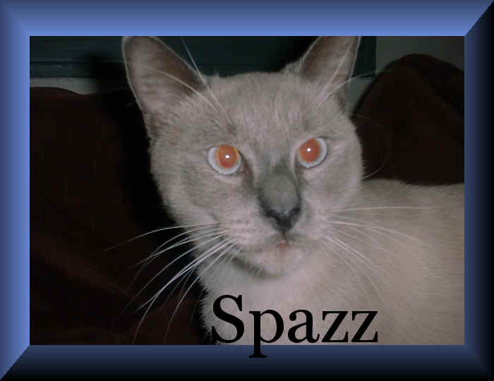 Spazz1.jpg (1134054 bytes)
