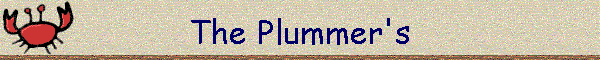 The Plummer's