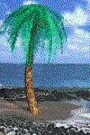 an3Tree.gif (58071 bytes)